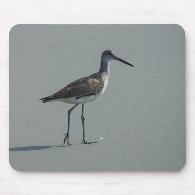 Sandpiper Pose Musmatta (Framsidan)