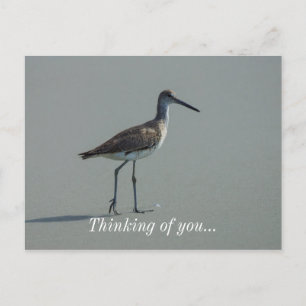 Sandpiper Pose Vykort