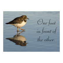 Sandpiper-Poster för fågelmotivation