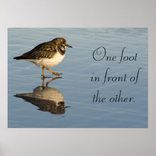 Sandpiper-Poster för fågelmotivation Poster