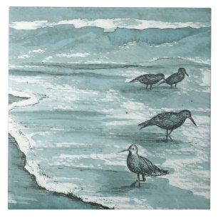 Sandpiper Shore Birds Ocean Vågar Grått Kakelplatta
