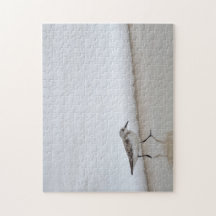 Sandpiper Shorebird Beach House