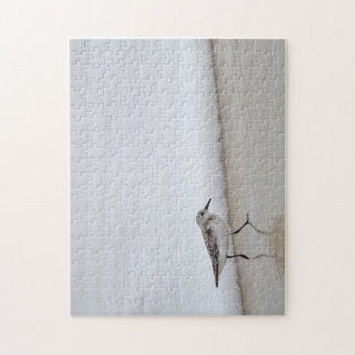 Sandpiper Shorebird Beach House Pussel