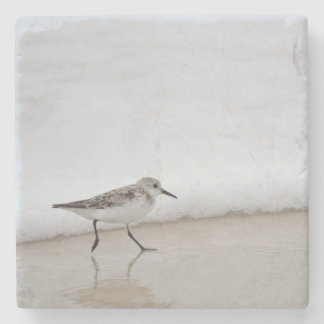 Sandpiper Shorebird Beach House Stone Underlägg