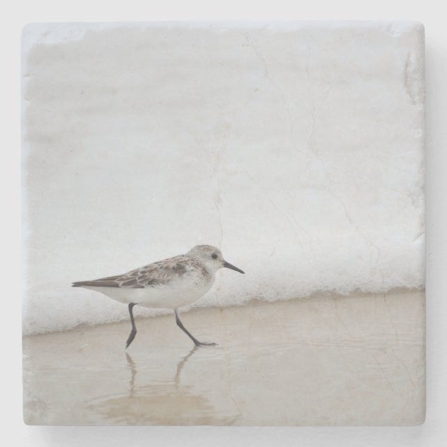 Sandpiper Shorebird Beach House Stone Underlägg (Framsidan)