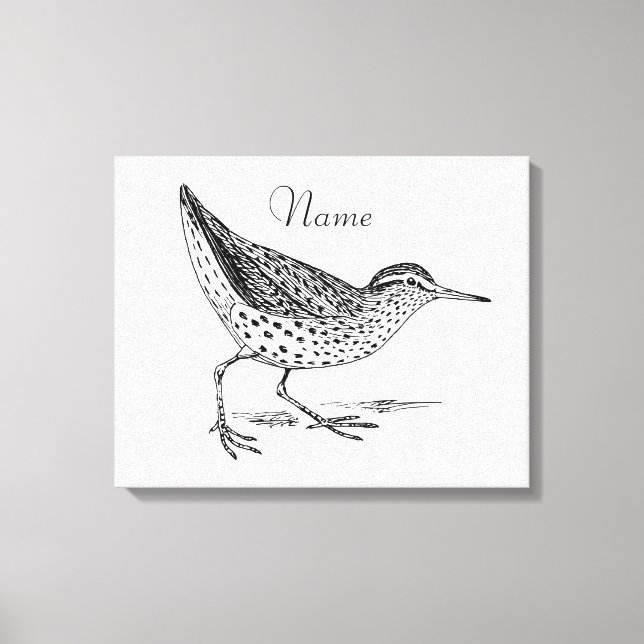 Sandpiper Shorebird Thunder_Cove Canvastryck (Framsida)