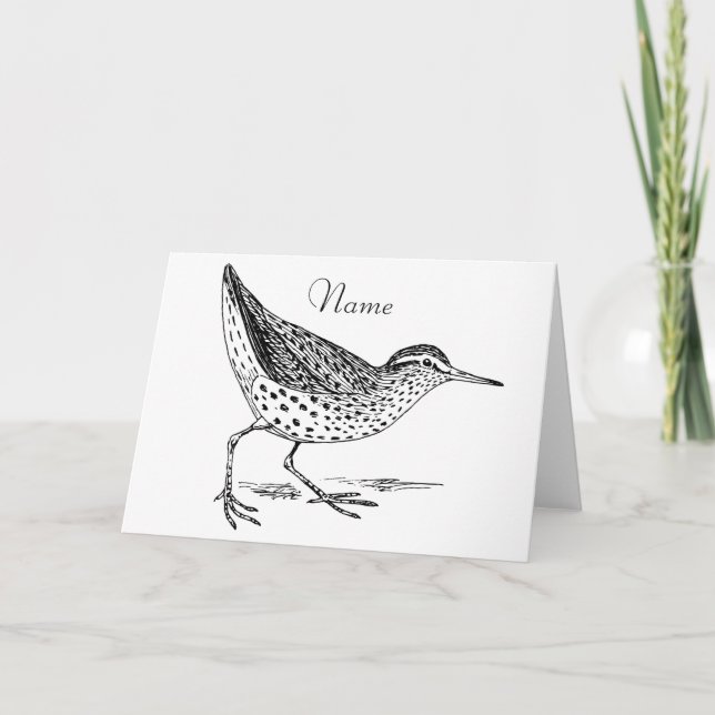 Sandpiper Shorebird Thunder_Cove Kort (Framsida)