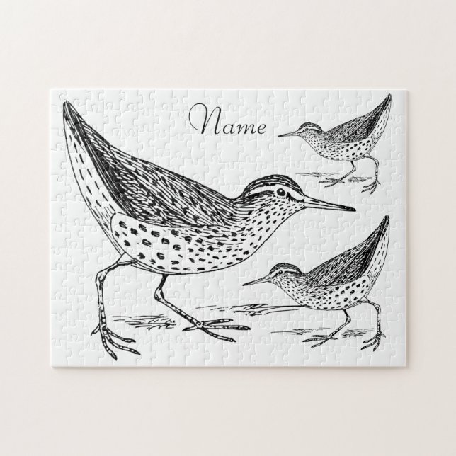 Sandpiper Shorebird Thunder_Cove Pussel (Horisontell)