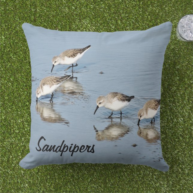 Sandpiper Sjöfåglar Kastkudde Kudde (Gräs)