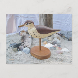 Sandpiper "Slick", vykort för träsket