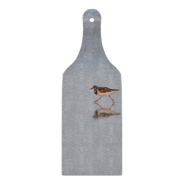 Sandpiper som går längs stranden (Framsidan)
