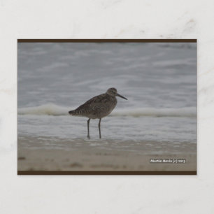 Sandpiper V Blue Beach Song™ vykort