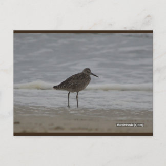 Sandpiper V | Blue Beach Song™ vykort