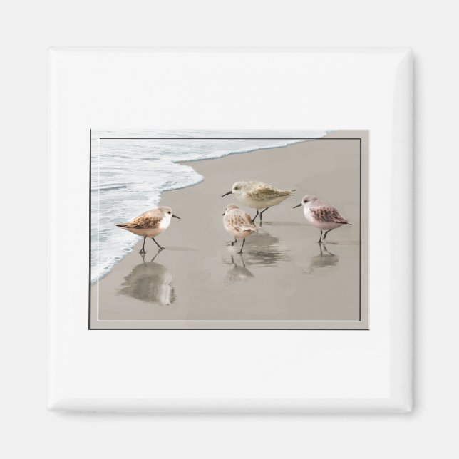 Sandpiper vid Shoreline Magnet (Framsidan)