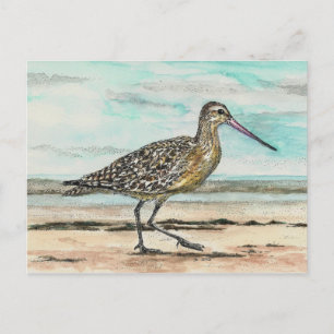 Sandpiper Vykort