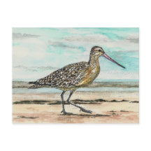 Sandpiper
