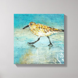 Sandpiper Wading Shorebird Weasted Search Canvas