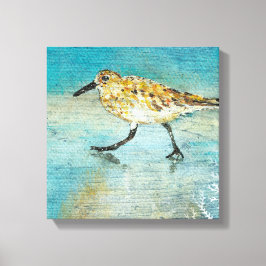 Sandpiper Wading Shorebird Weasted Search Canvas