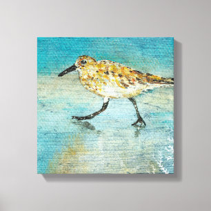 Sandpiper Wading Shorebird Weasted Search Canvas