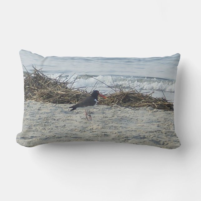 Sandpiperfågeln kudder på beach.en lumbarkudde (Framsida)