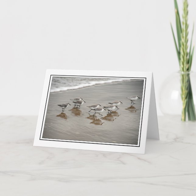 Sandpipers Kort (Framsida)
