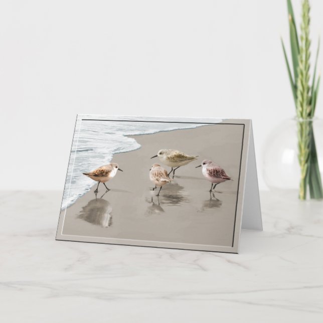 Sandpipers på shorelinen kort (Framsida)