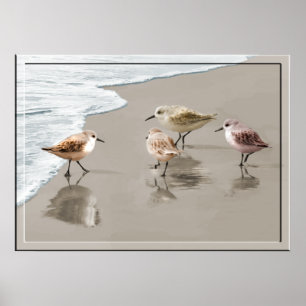 Sandpipers på shorelinen poster