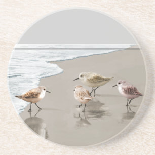 Sandpipers på shorelinen underlägg sandsten