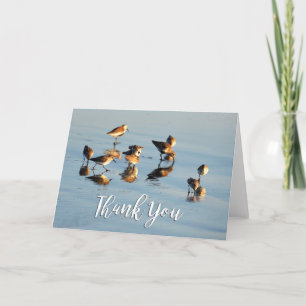 Sandpipers Photo Tackto You Card Tack Kort
