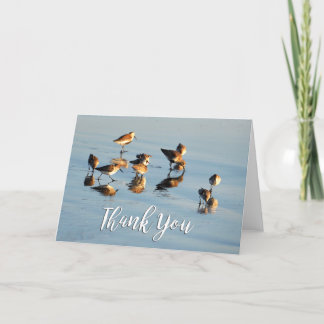 Sandpipers Photo Tackto You Card Tack Kort