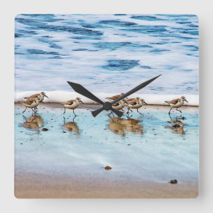 Sandpipers rinnande Along stranden Fyrkantig Klocka