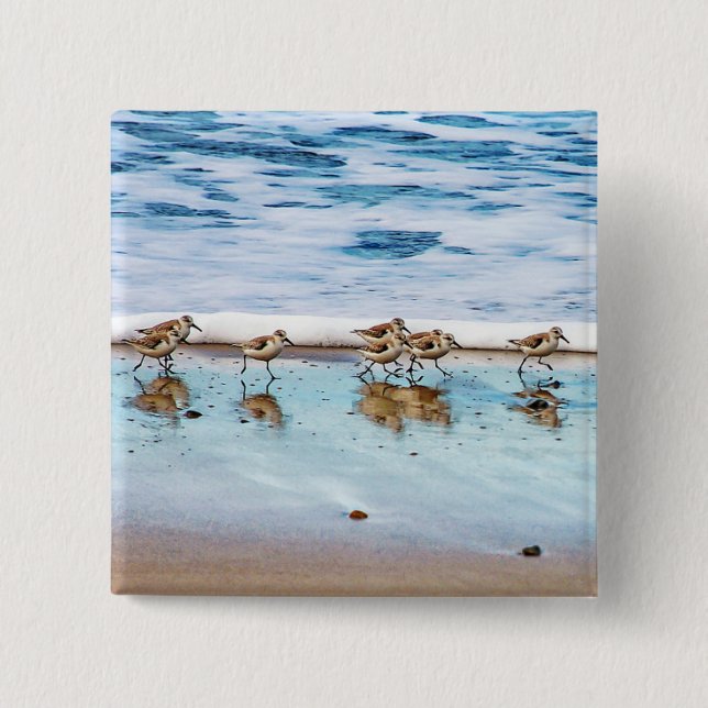 Sandpipers rinnande Along stranden Knapp (Framsida)