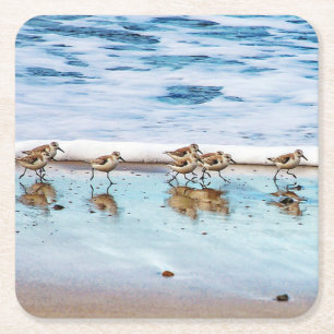 Sandpipers rinnande Along stranden Underlägg Papper Kvadrat