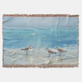 Sandpipers Strand Ocean Filt