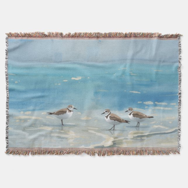Sandpipers Strand Ocean Filt (Framsidan)