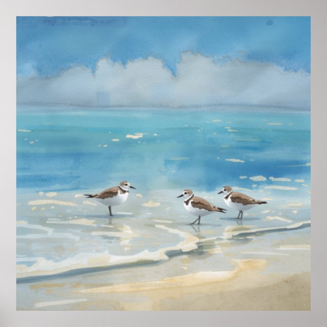 Sandpipers Strand Ocean Poster (Framsidan)