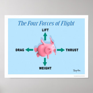 Sandra Boyntons FYRA FLYGKRAFTER Poster