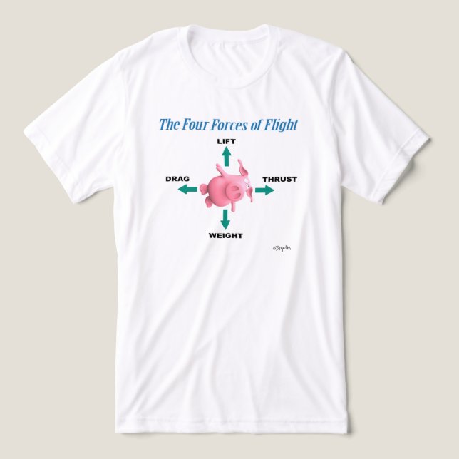 Sandra Boyntons FYRA FLYGKRAFTER Tee Shirt (Design Framsida)