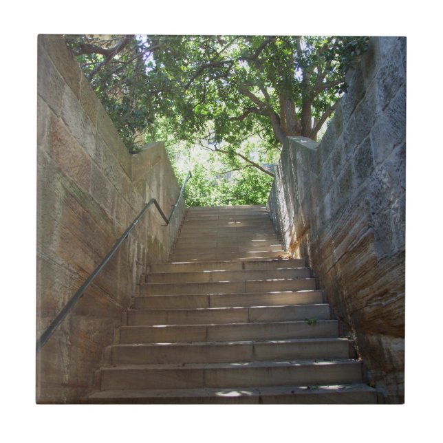 Sandsten kliver belägger med tegel kakelplatta (Framsidan)