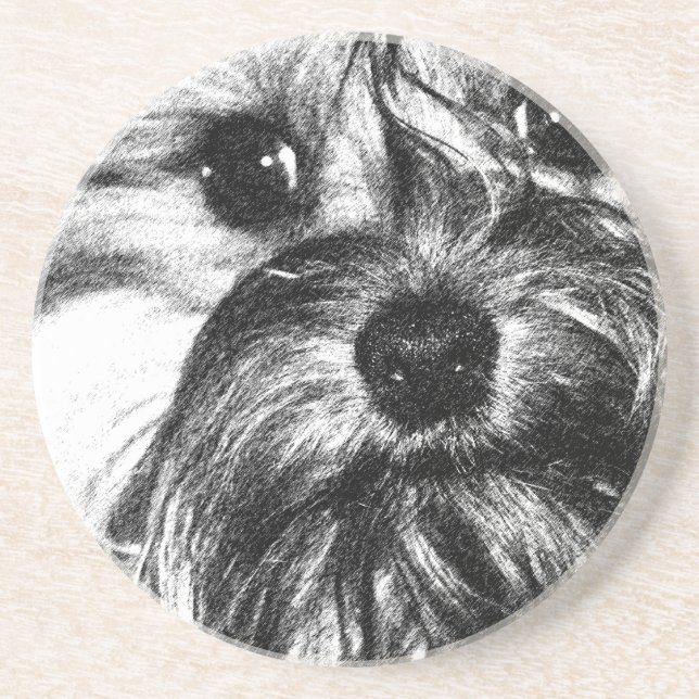 Sandstendrinkkustfartyg Underlägg (Framsidan)