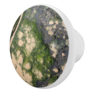 Sandstensformation med smaragdgrön mossa knopp