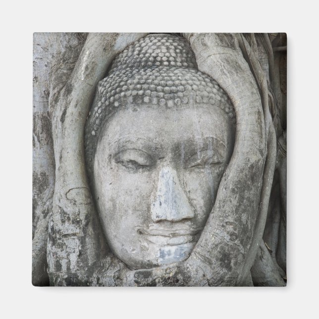Sandstenshuvud av Buddha omgiven av träd Magnet (Framsidan)