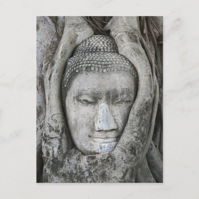 Sandstenshuvud av Buddha omgivet av träd Vykort (Framsida)