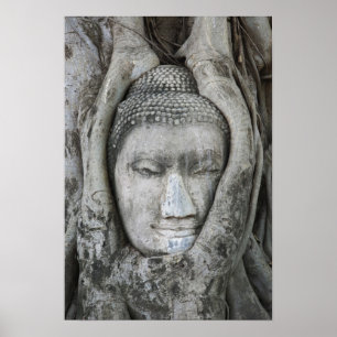 Sandstenshuvud i Buddha omgiven av träd Poster