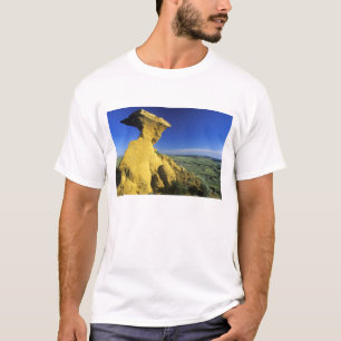 Sandstensmonument i Hell Creek-området nära T Shirt