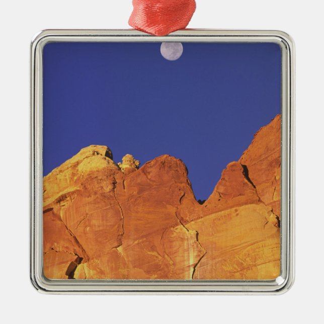 Sandstensutrustning Huvudstad Reef National Julgransprydnad Metall (Framsidan)