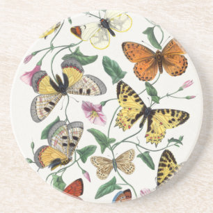 Sandstone Butterfly Antique Illustration Underlägg