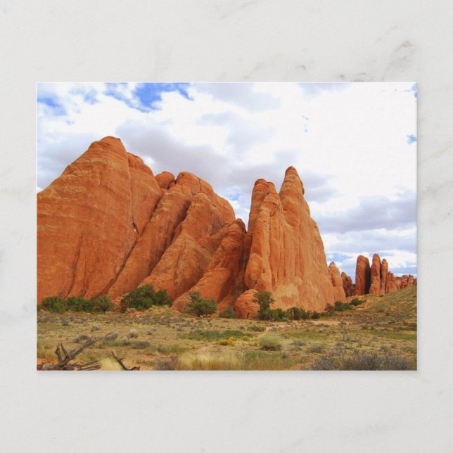 Sandstone Fins, Arches National Park, Utah Vykort (Framsida)