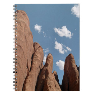 Sandstone Fins Utah Desert Photo Anteckningsbok Med Spiral