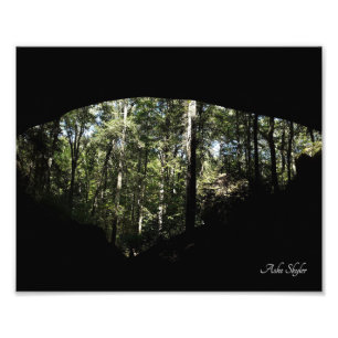 Sandstone Forest Arch Fototryck